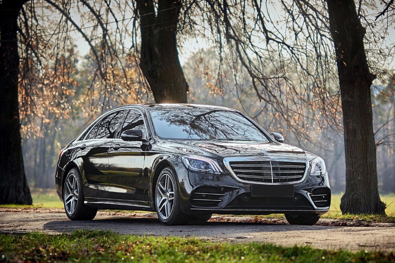 bg_sec_img_home_sctn2